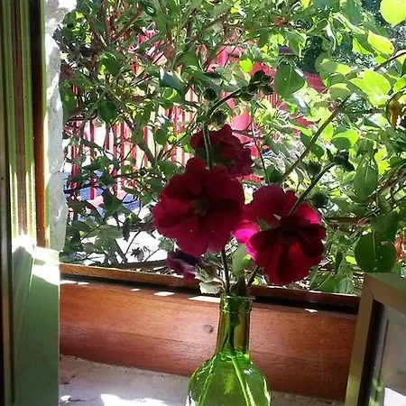 Les Basses Portes Tramoyes