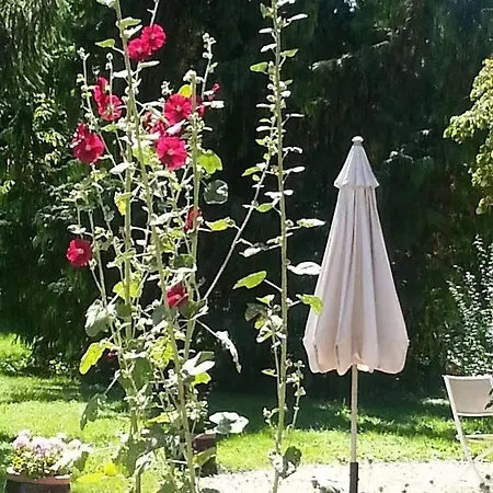 B&B Les Basses Portes Tramoyes
